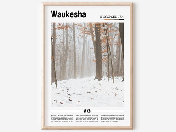 Waukesha Wisconsin Snowy Forest Winter Trees Photo Travel Poster