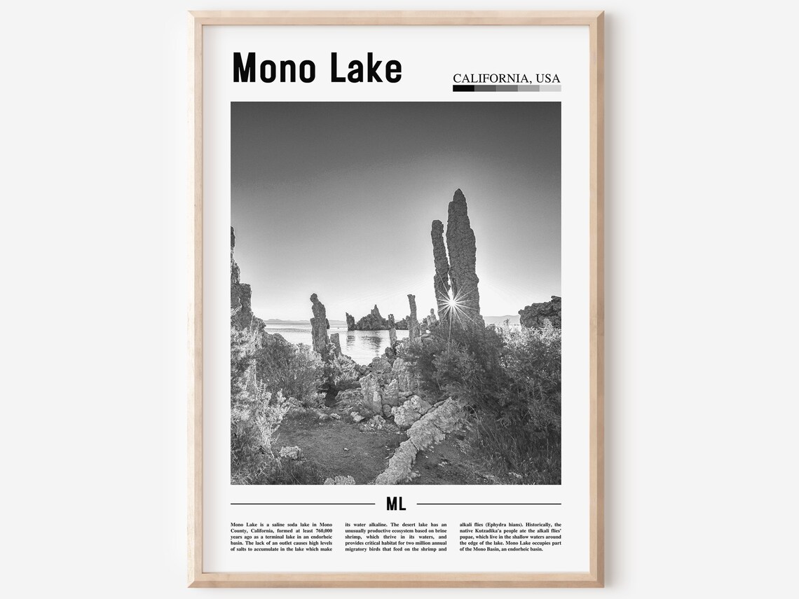 Mono Lake California Black and White Tufa Towers Sunrise Photo Poster