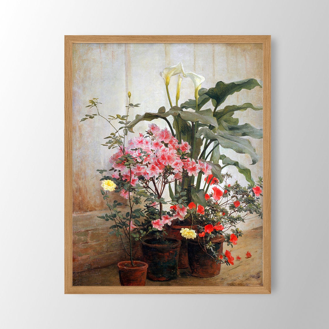 Antique Potted Azalea Calla Lily Still Life Painting Art Poster