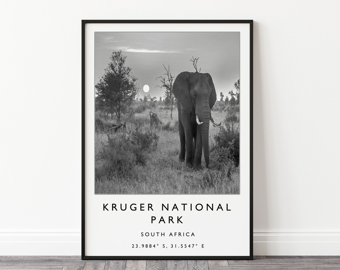 Kruger National Park Travel Poster, South Africa - Image 3