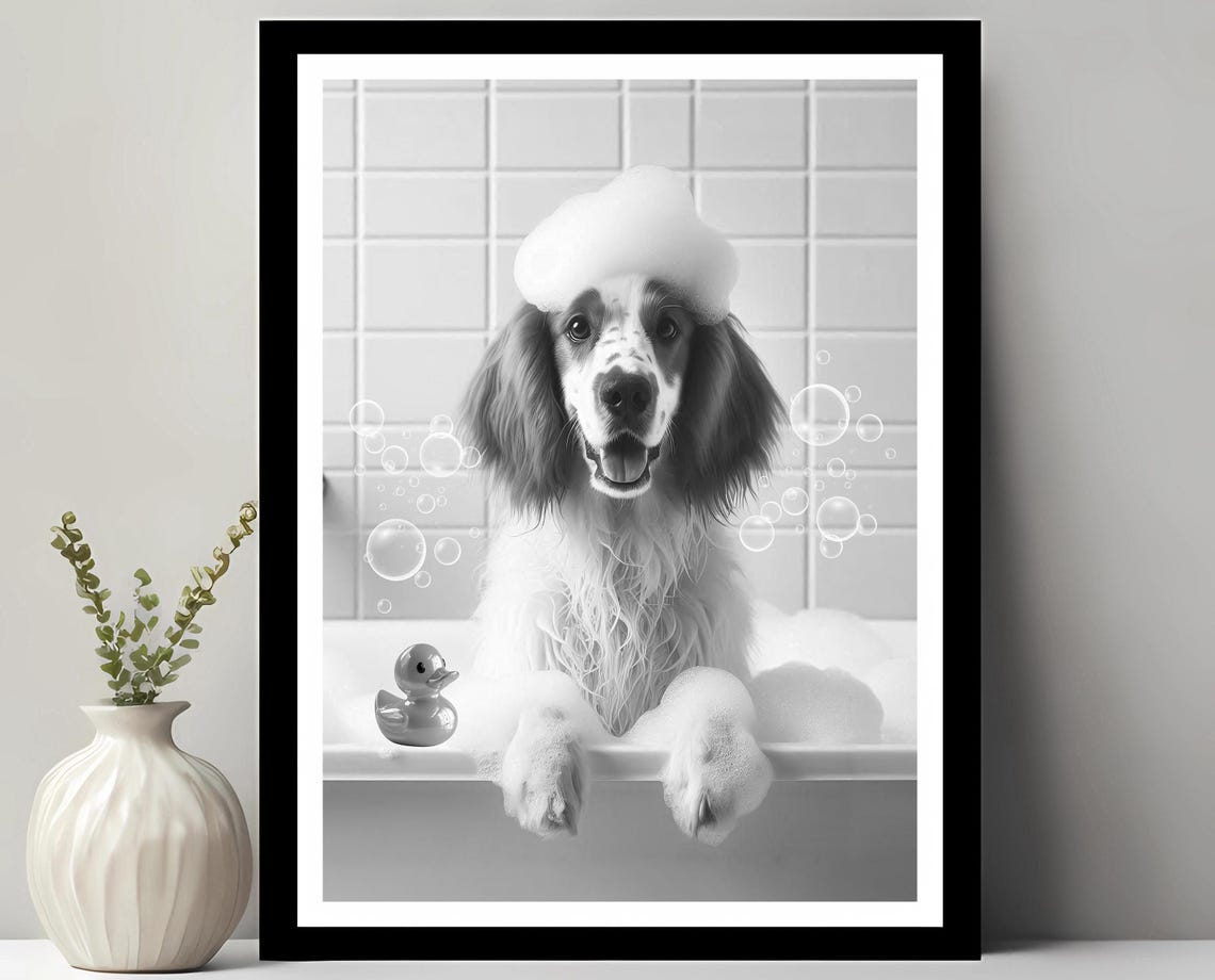 Spaniel Dog in Bubble Bath With Soap Foam Hat and Rubber Duck Poster