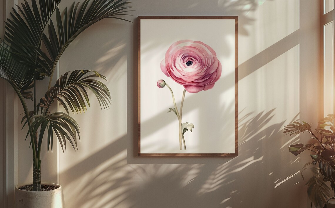 Pink Ranunculus Single Bloom Watercolour Botanical Flower Poster - Image 5