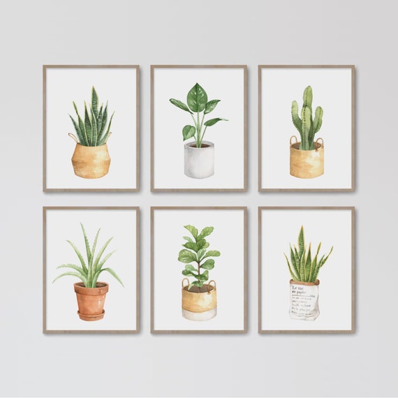 Watercolor Houseplants Botanical Set Potted Plant Posters Of 6 Leaf Prints Greenery Foliage Gallery Wall Indoor Pot