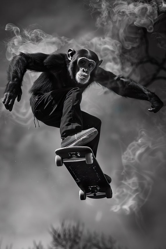 Monkey Skateboarding Funny Animal Wall Art Monkey On Skateboard Funny Monkey Photo Funny Animal Photography Home Ai Art