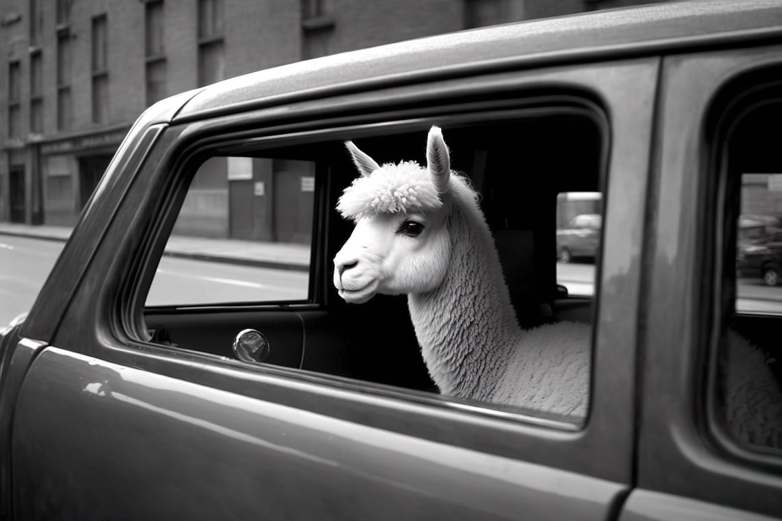Alpaca Riding In A Car In New York City Alpaca Comes To Town Funny Animal Vintage Photo Retro Alpaca Humor Wall Art Ai Art