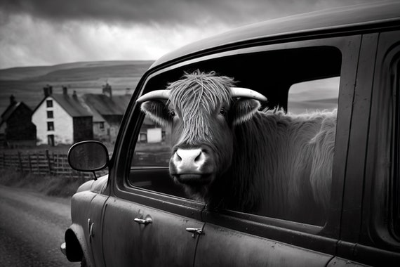 Highland Cow Riding In A Car In New York City Cow Comes To Town Funny Animal Vintage Photo Retro Cow Print Wall Art Ai Art