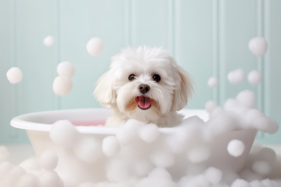 Maltese Dog Pup In The Bathtub Cute Dog Photograph Maltese In Bubble Bath Funny Animal Print Funny Bathroom Wall Art Ai Art