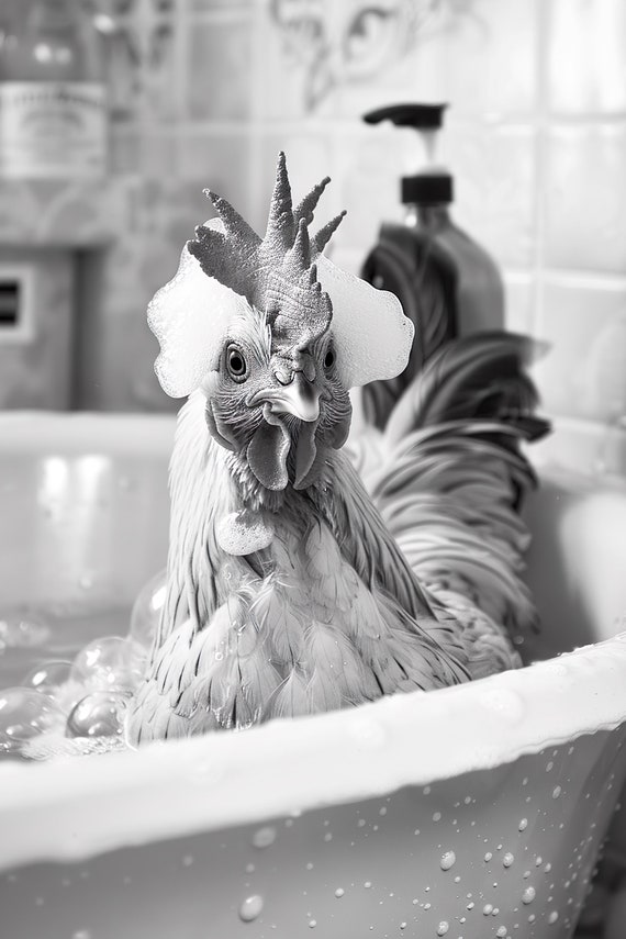 Chicken In The Bathtub Funny Animal Photograph Chicken Taking A Bubble Bath Ai Animal Print Funny Bathroom Wall Art Home