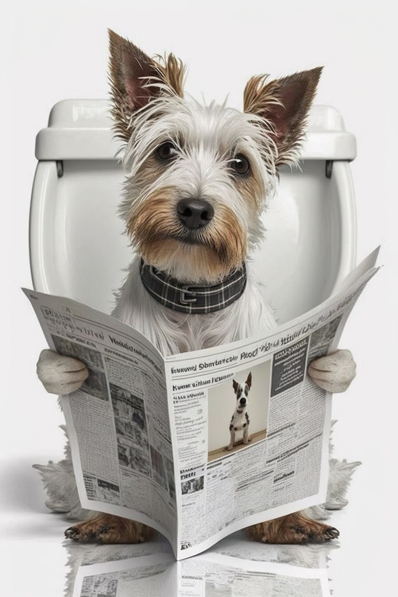 Terrier Sitting On The Toilet Reading A Newspaper Funny Bathroom Wall Art Funny Dog Photo Animal Prints Home Ai Art