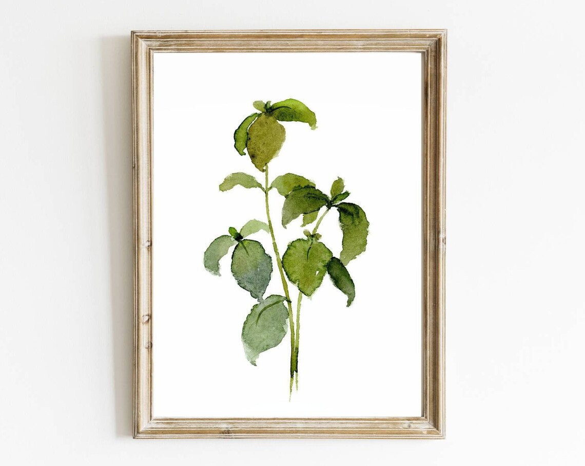 Herbs Watercolor Painting Basil Kitchen Art Print