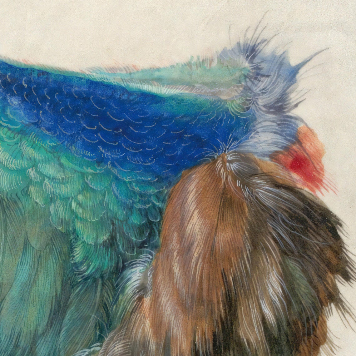 Albrecht Durer Dead Blue Roller 1512 Detailed Wing Study Poster - Image 2