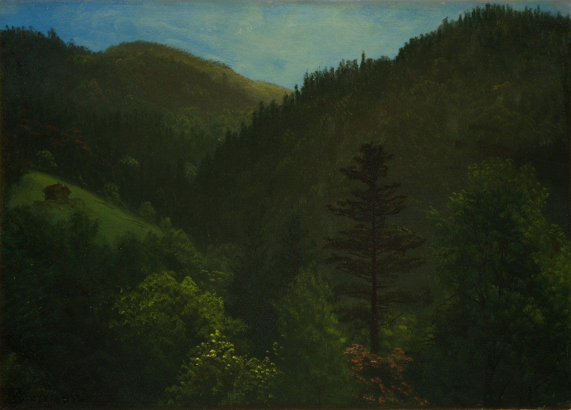 Albert Bierstadt Dark Wooded Forest Valley Landscape Textured Print - Image 3