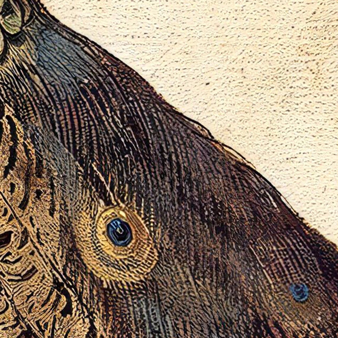 Peacock by Nicolaus Juvenel, Oil Painting Print - Image 2