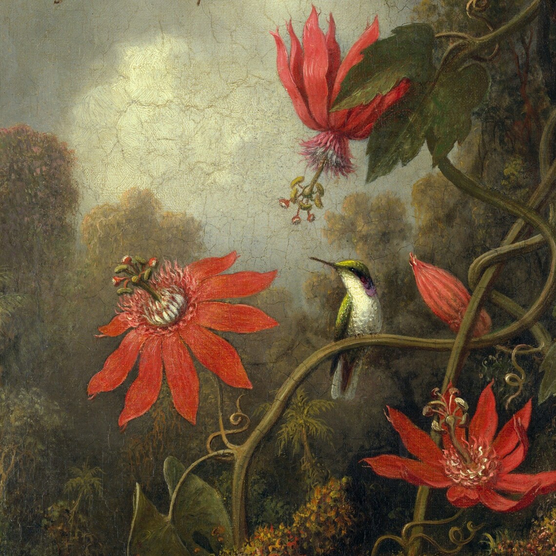 Hummingbird and Passionflowers, Heade-Inspired Art Print - Image 2