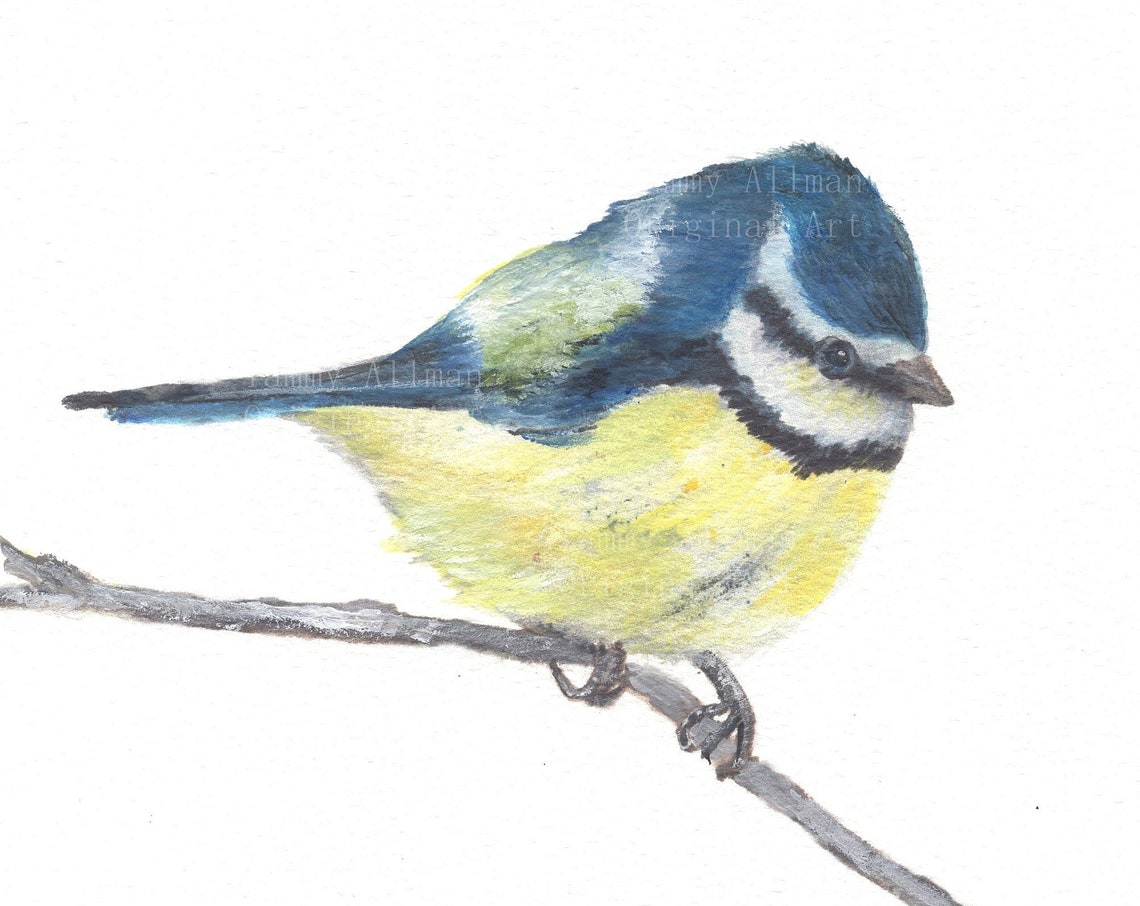 Blue Tit Bird Perched on Bare Branch Watercolor Bird Art Poster