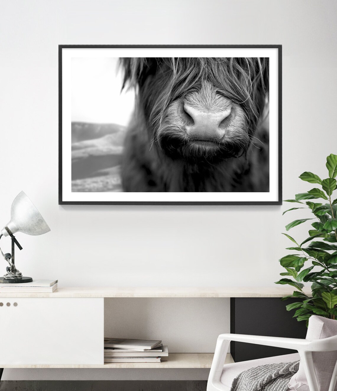 Highland Cow Black And White Photography Art Print - Image 3