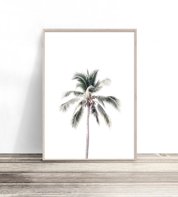 Palm Tree Beach Photography Print, Coastal Decor