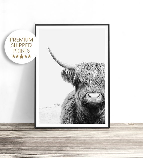 Highland Cow Black and White Art Print, Living Room