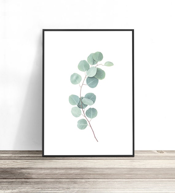 Eucalyptus Botanical Art Print, Australian Native Leaf