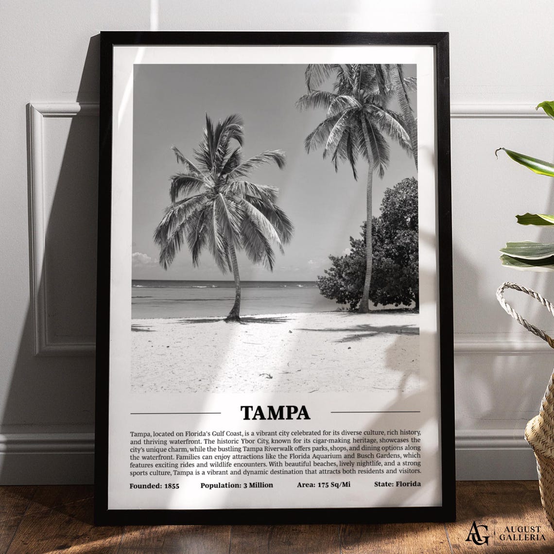 Tampa Florida Palm Beach Black and White Coastal Travel Poster