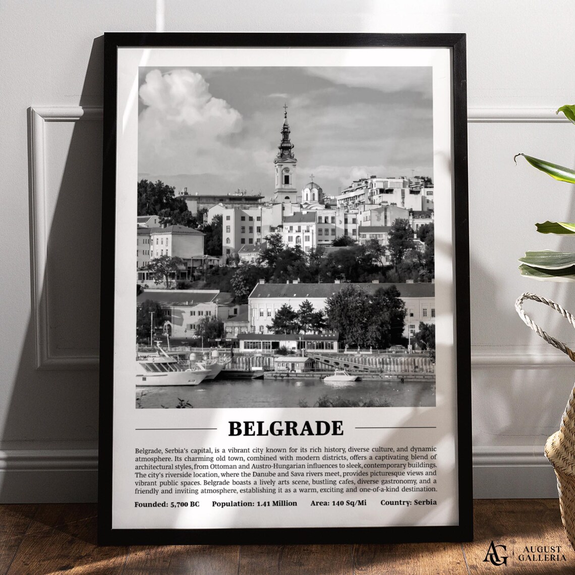 Belgrade Serbia Black White City Print Danube River Travel Profile