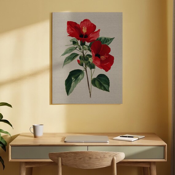 Red Hibiscus Flower Duo Vintage Botanical Illustration Poster