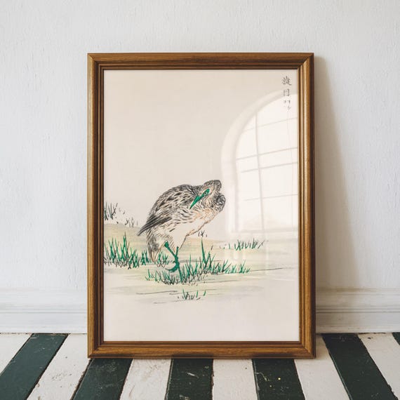 Chinese Little Bittern By Numata Kashu Bird Illustration Print Japanese Wall Art Housewarming Gift