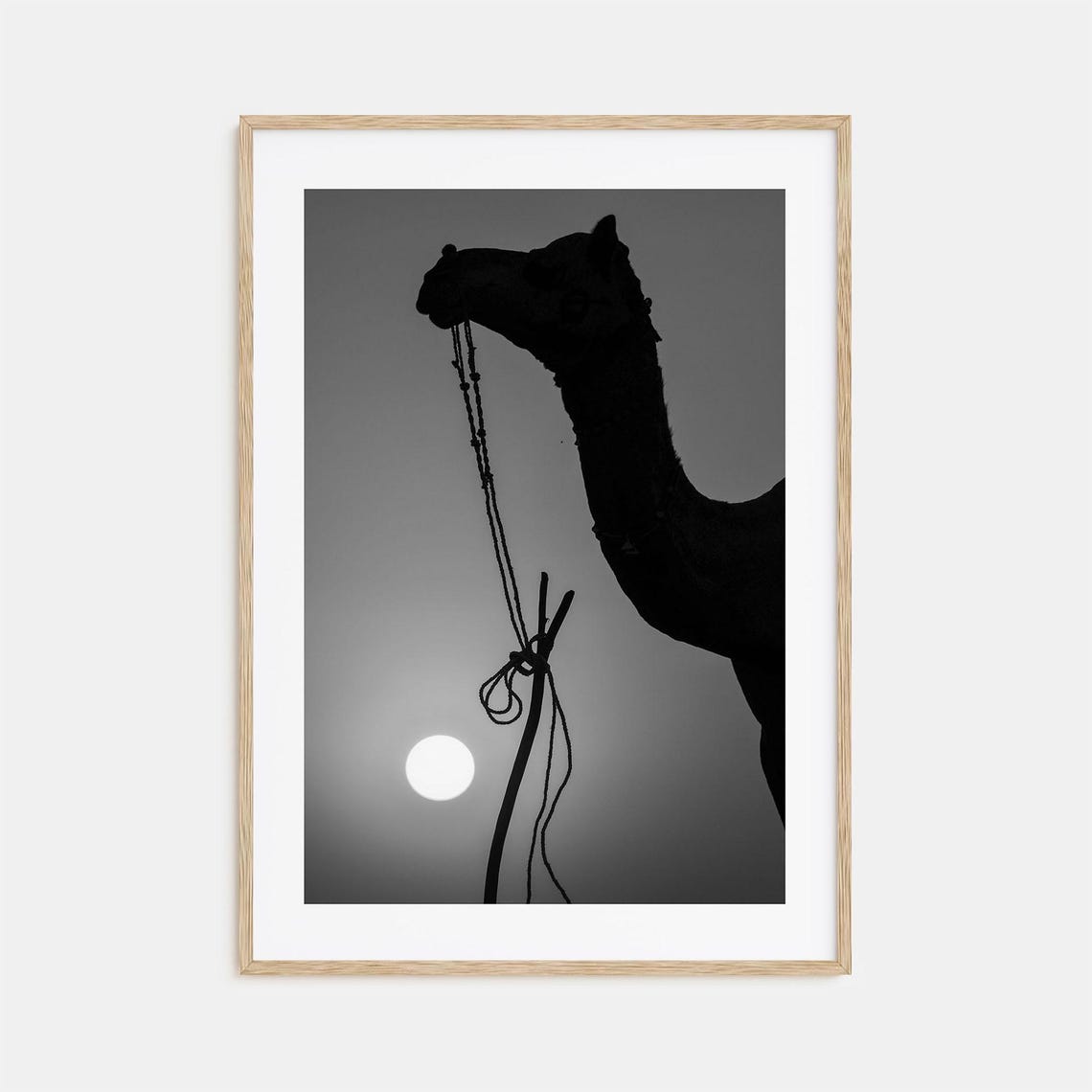 Camel Silhouette Against Glowing Setting Sun Black And White Poster