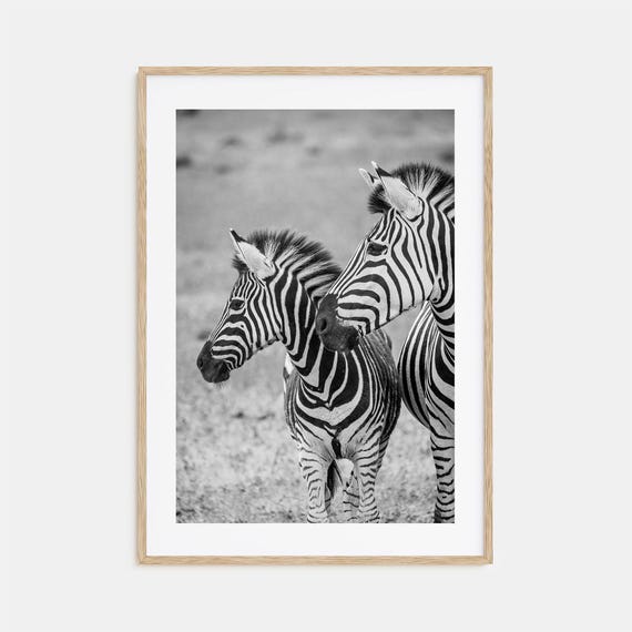 Zebra Photo Poster Print No 2 Zebra Black And White Wall Art Zebra Wall Photography Zebra Travel Zebra Map Poster