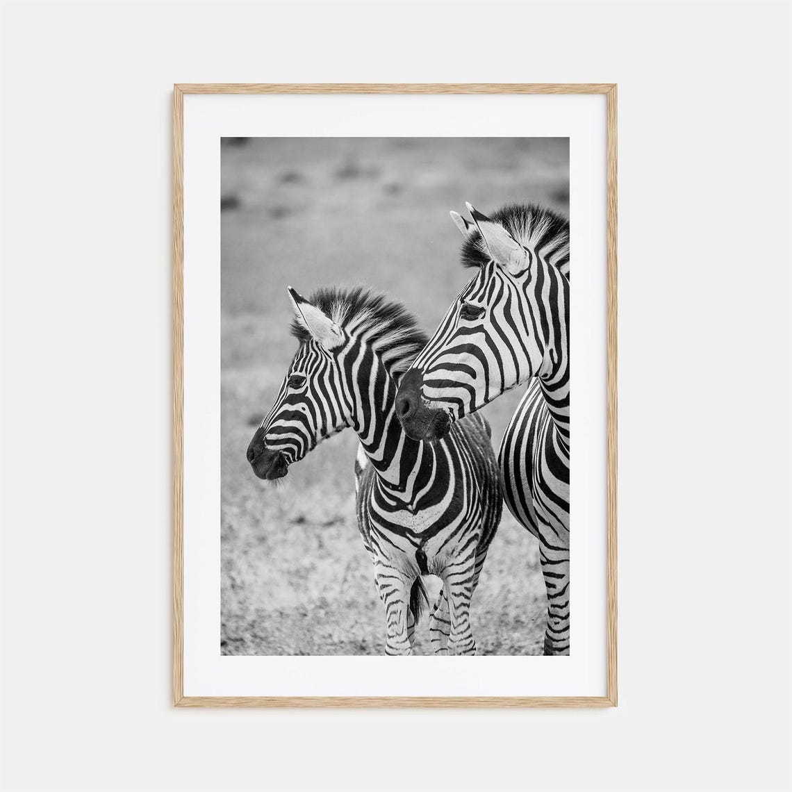 Zebra Photo Poster Print No 2 Zebra Black And White Wall Art Zebra Wall Photography Zebra Travel Zebra Map Poster