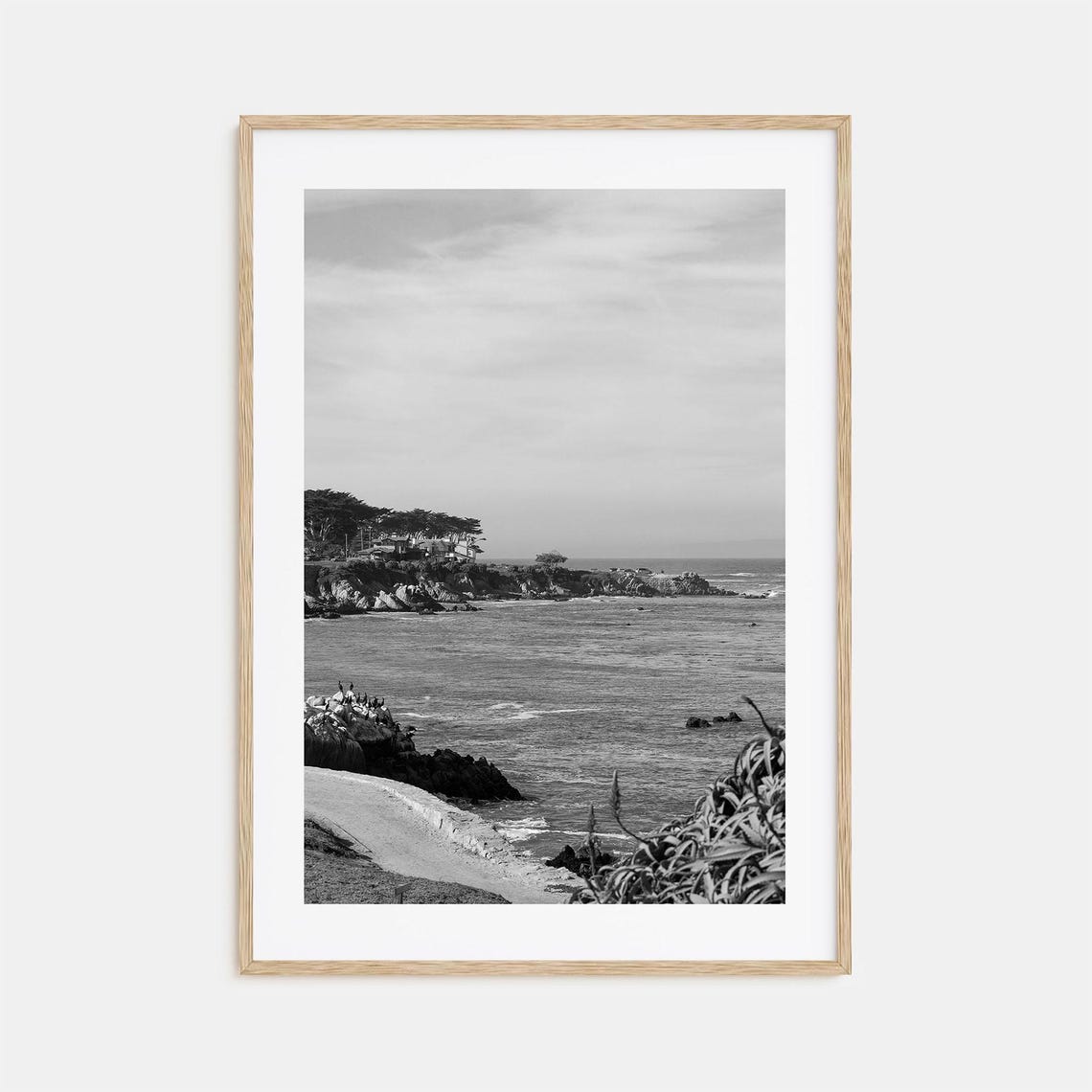 Pacific Grove Rocky Coast Cypress Trees Ocean View Coast View Poster