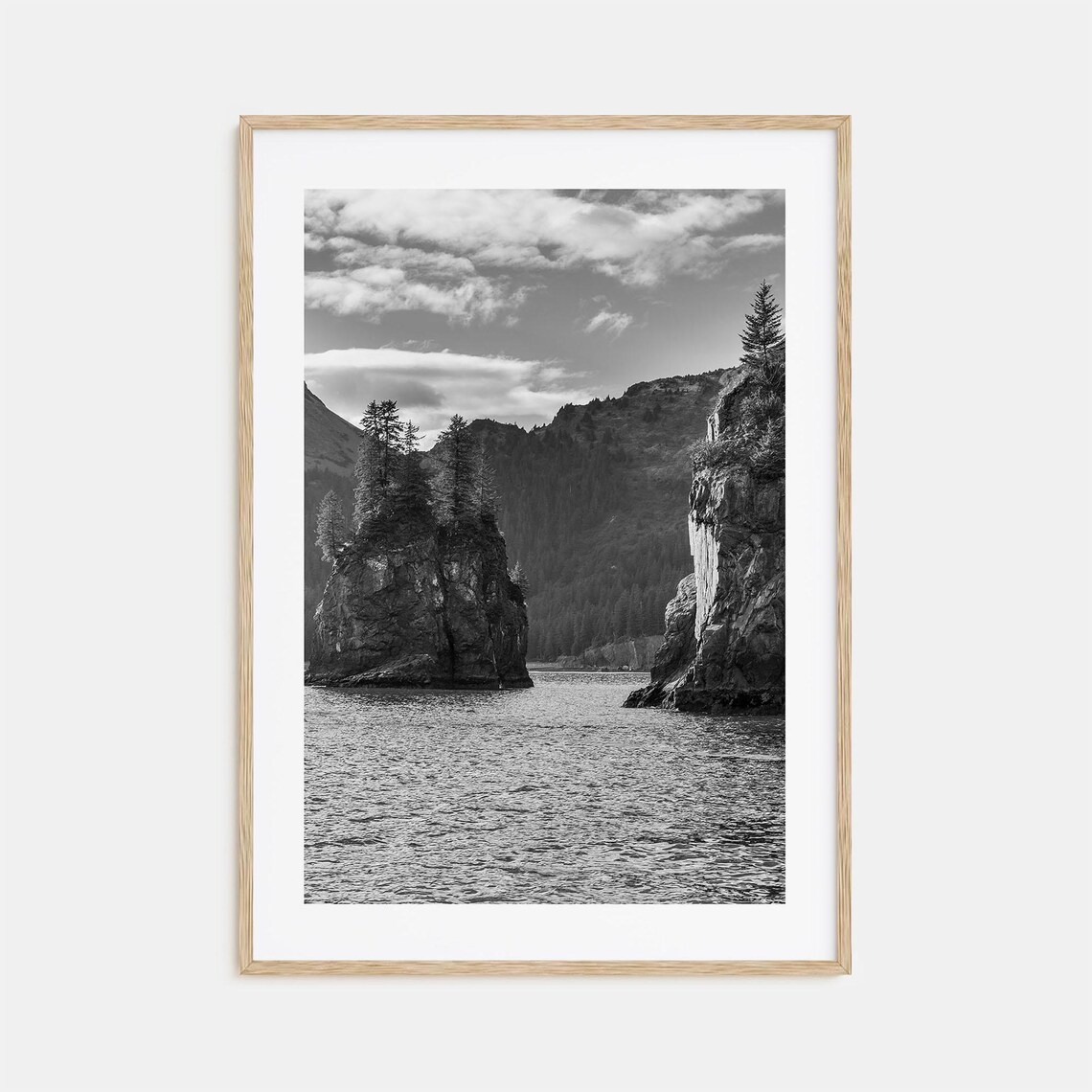 Kenai Fjords Alaska Rocky Inlet Black And White Fjord Poster