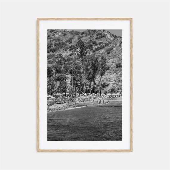 Santa Catalina Island Beach Umbrellas Palms Hillside Black White Poster