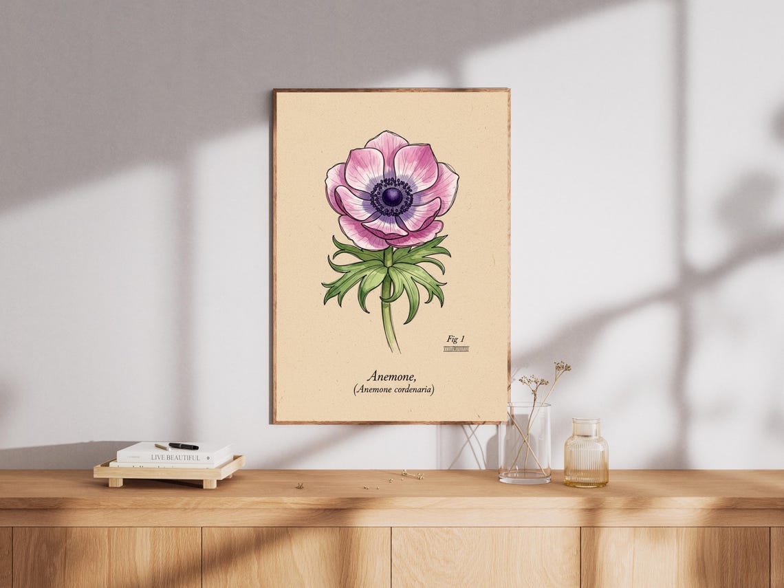 Anemone Flower Print Vintage Botanical Illustration Pink Purple