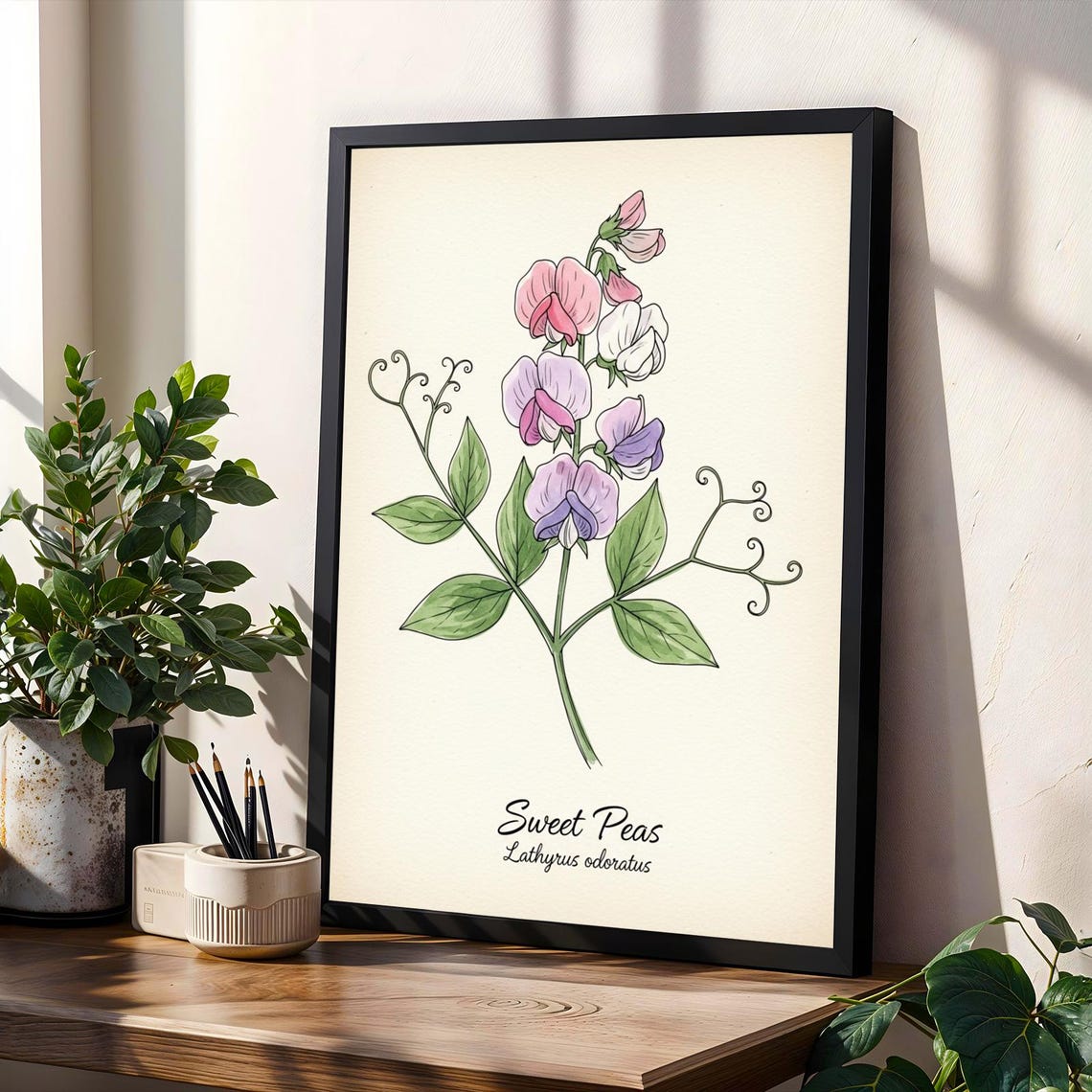 Sweet Peas Watercolor Art Print Botanical Study Pink Purple
