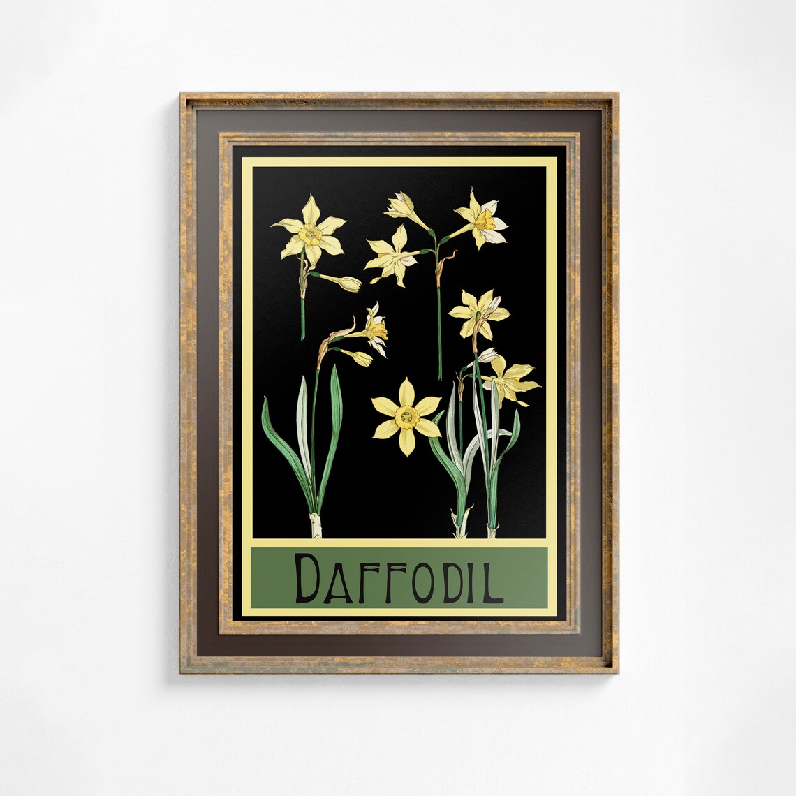 Art Nouveau Poster, Vintage Botanical Daffodils