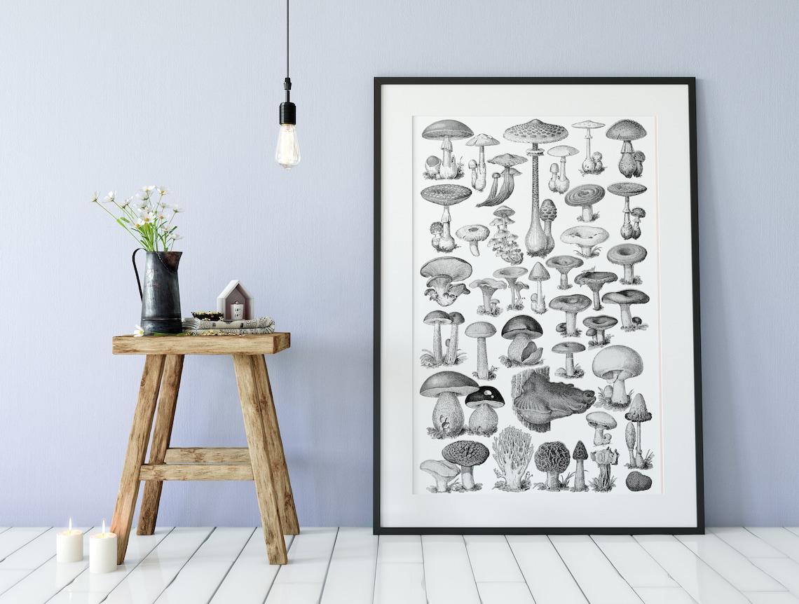 Mushrooms Vintage Illustration, Botanical Art Print
