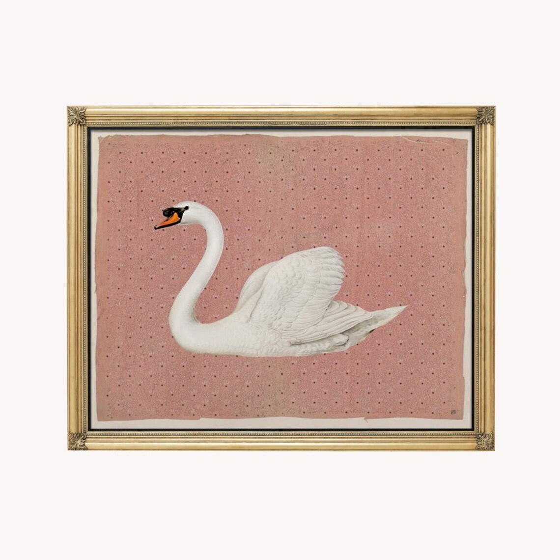 Vintage Swan Peach And Off White Art Print