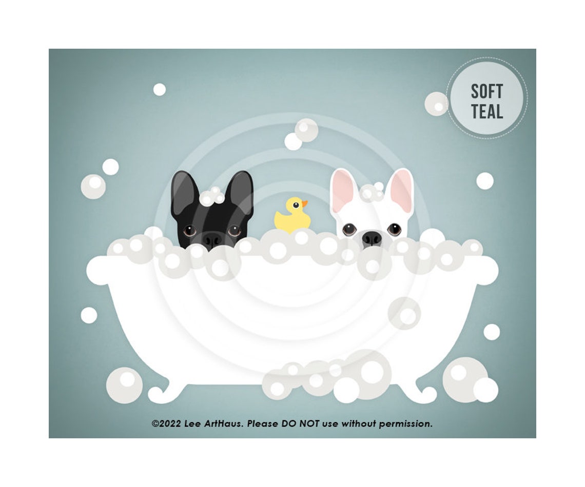 Two French Bulldogs In Bubble Bath With Rubber Duck Dog Poster - Image 4