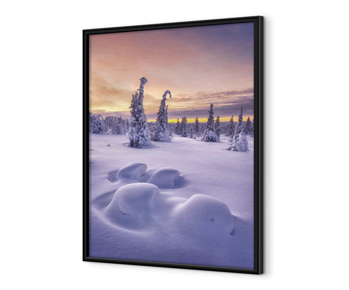 Snowy Winter Forest At Pink Sunset With Frosted Pine Trees Poster - Image 4