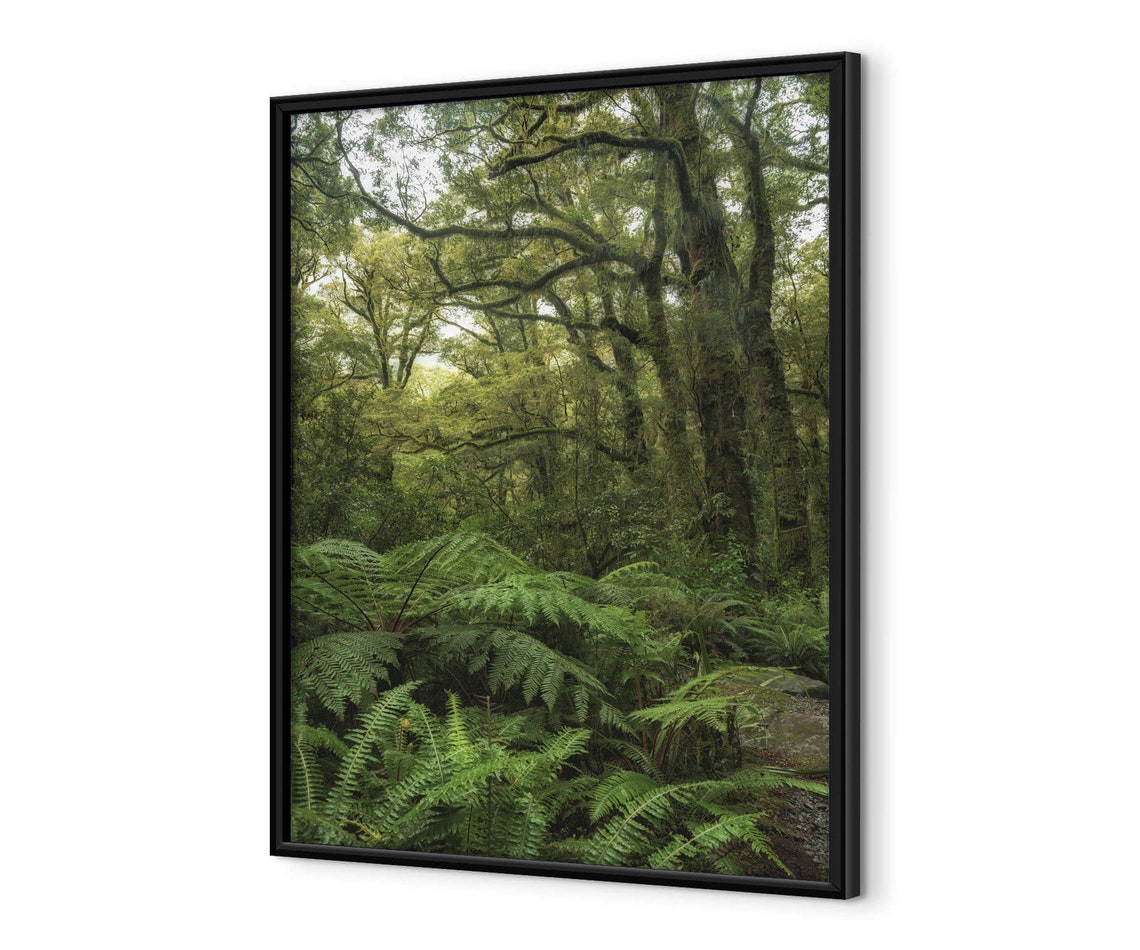 Tropical Rainforest Canopy With Giant Ferns And Mossy Trees Poster - Image 4