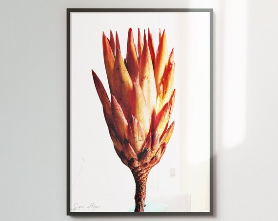 Vibrant Colour Botanical Print Redorange Minimalist Art Modern Floral Decor 2