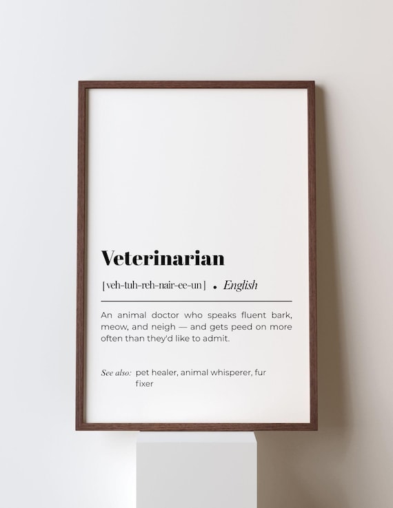Veterinarian Definition Funny Vet Office Appreciation Gift Wall Poster