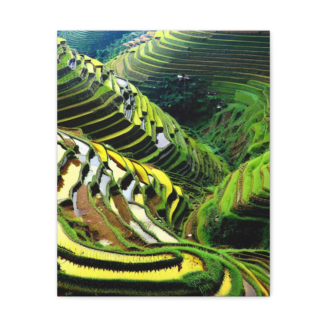 Lush Green Rice Terraces Cascading Hillsides Tropical Landscape Poster
