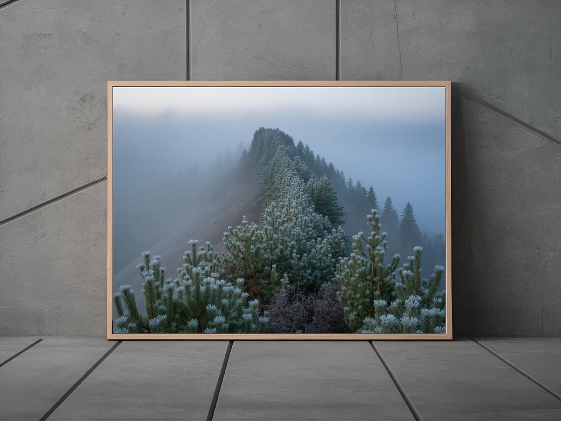 Misty Mountain Ridge Pines Foggy Landscape Photography Poster - Image 3