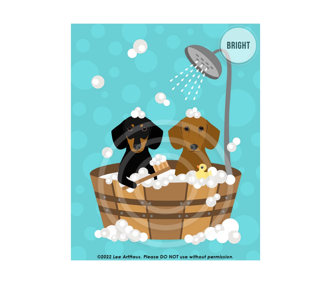 Two Dachshunds Wooden Tub Bubble Bath Shower Bright Teal Dog Poster