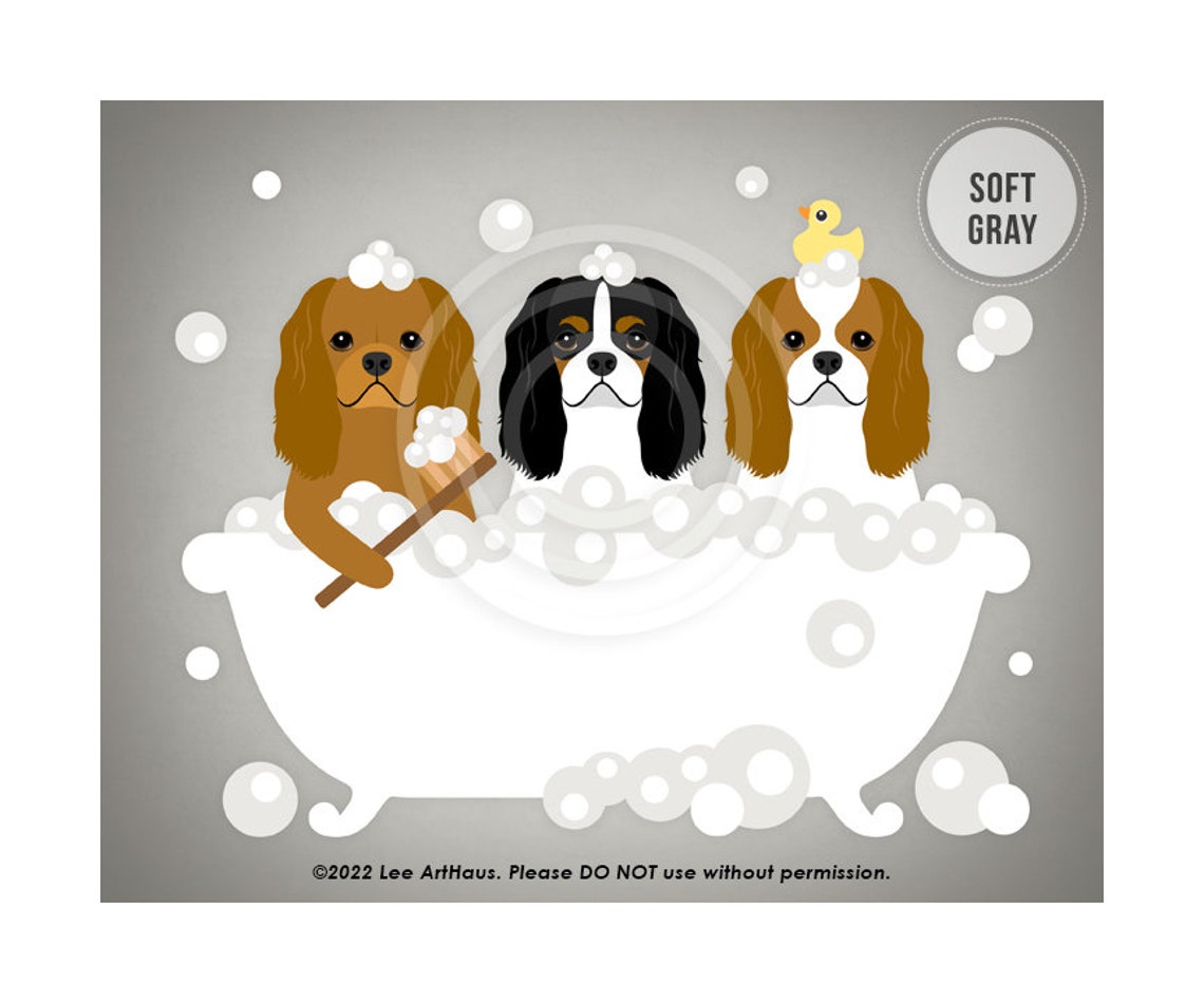 Three Cavalier King Charles Spaniels Bubble Bath Duckies Poster - Image 3