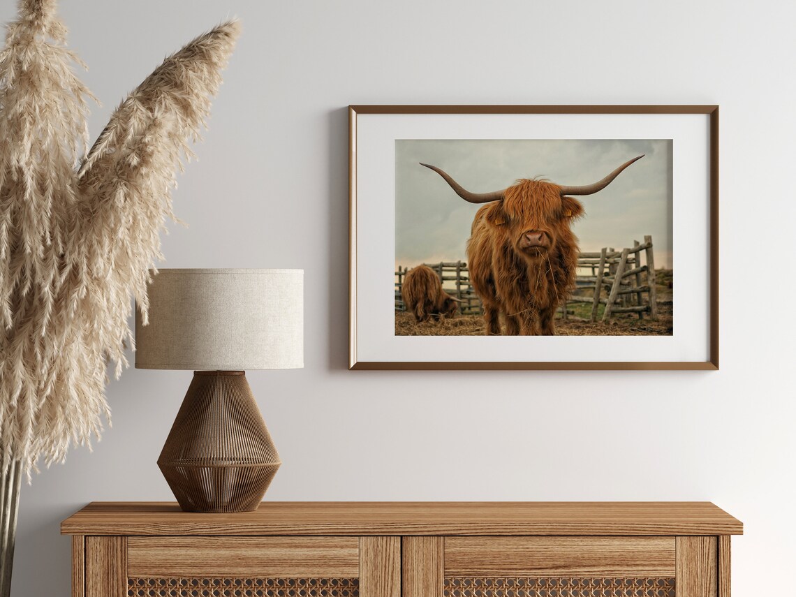 Brown Highland Cow Print Highland Cow Poster Cattle Wall Art Shaggy Cow Photography Scandinavian Decor Country Wall Art File - Image 2