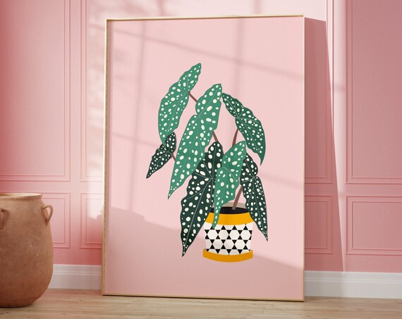 Polka Dot Begonia Geometric Pot Blush Pink Botanical Art Poster
