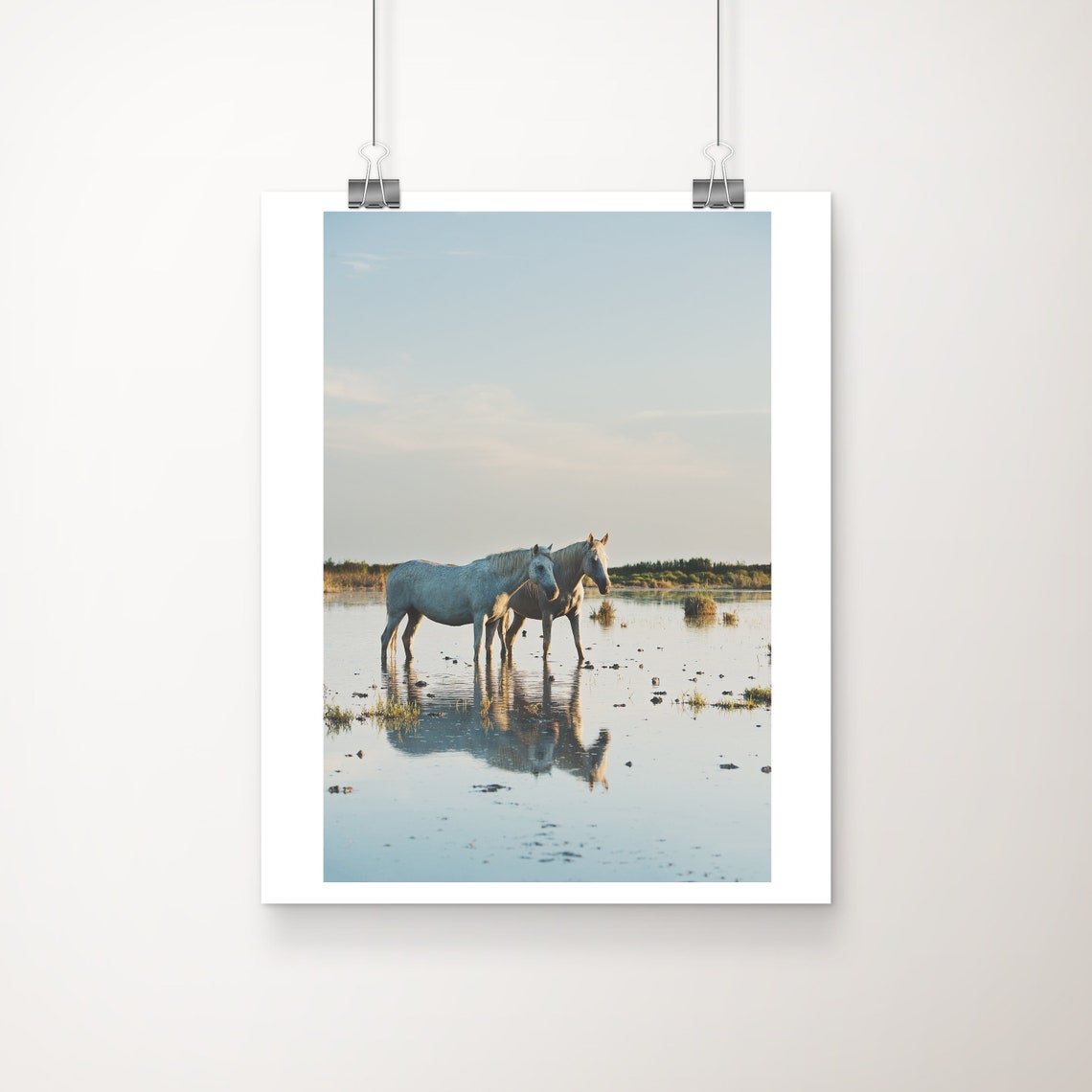 Camargue White Horses Sunset Marsh Water Reflection Wall Art